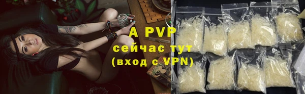 spice Белокуриха
