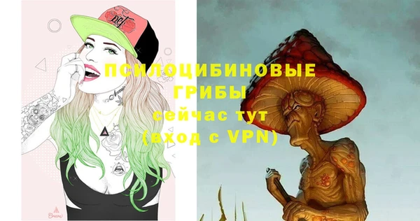 spice Белокуриха