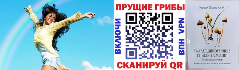 Галлюциногенные грибы прущие грибы  где купить наркоту  Шлиссельбург 